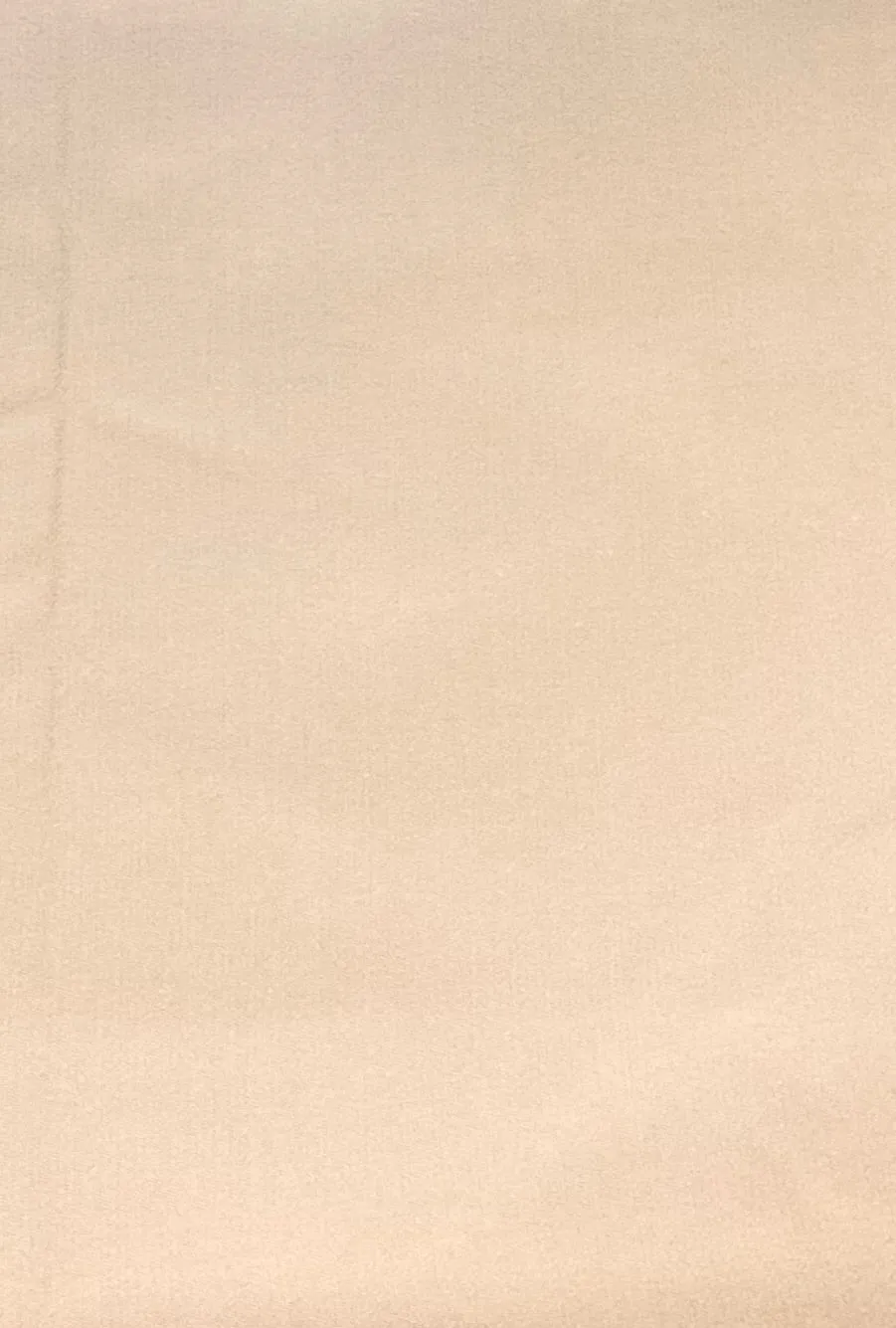 2 3/8 YD PC-Beige Wool Blend Jacketing Fabric