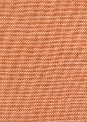 COTTON CHAMBRAY NON-STRETCHED WOVEN<br><h6>5E-CORAL<br>CHAMBRAY</h6>