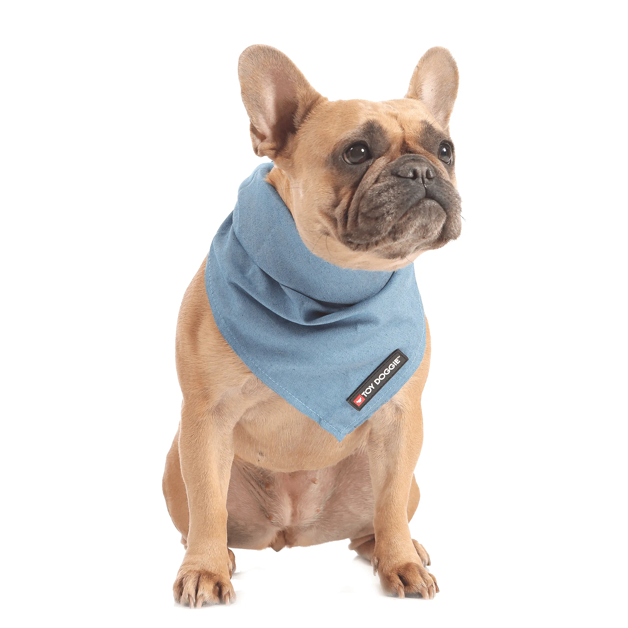 Denim Pet Bandana