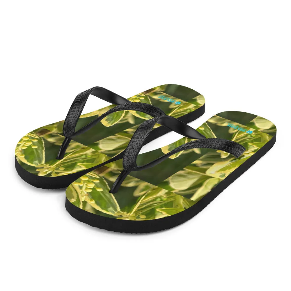 Flip-Flops