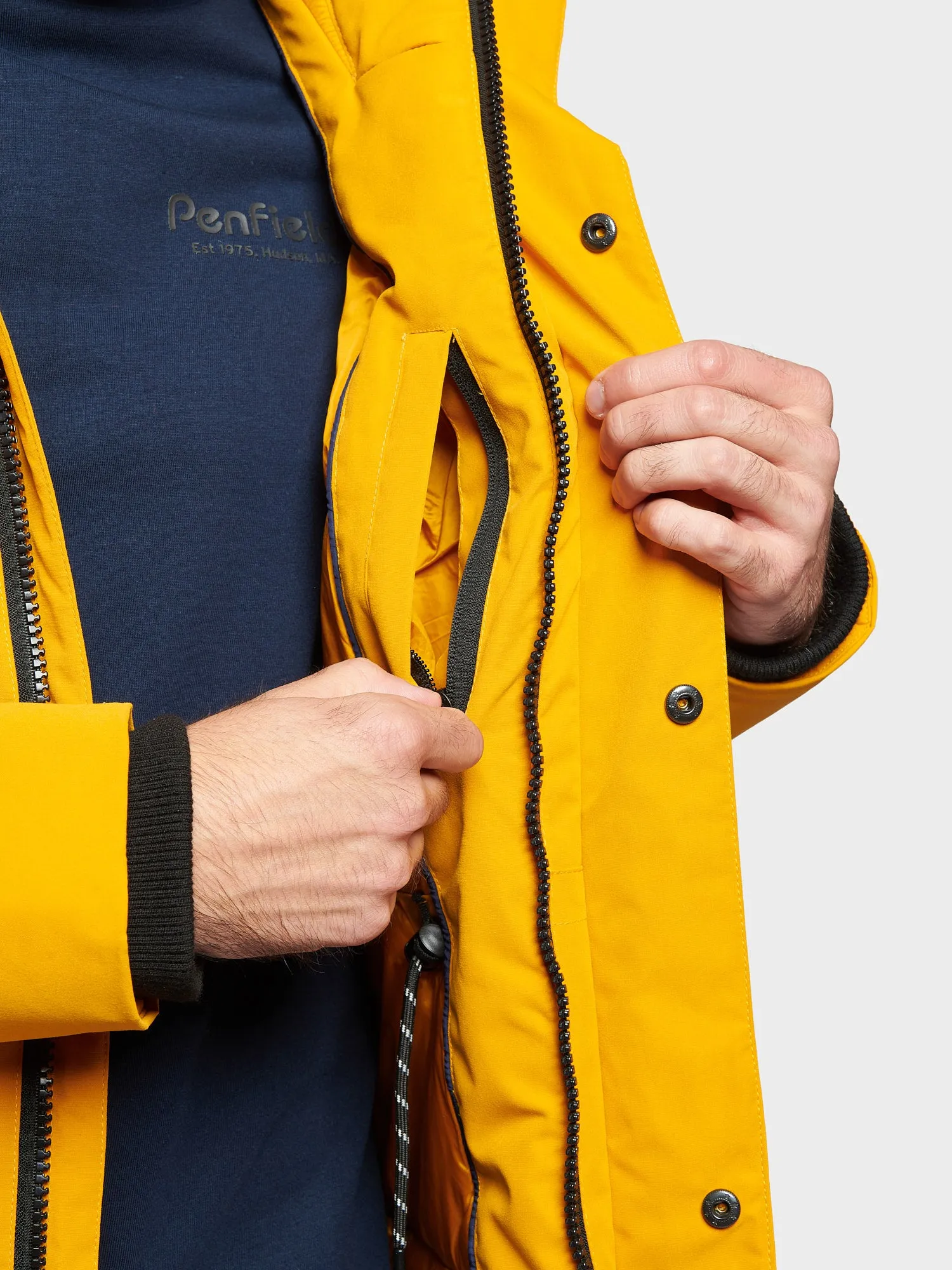 Hudson Script Technical Parka Jacket in Sunflower