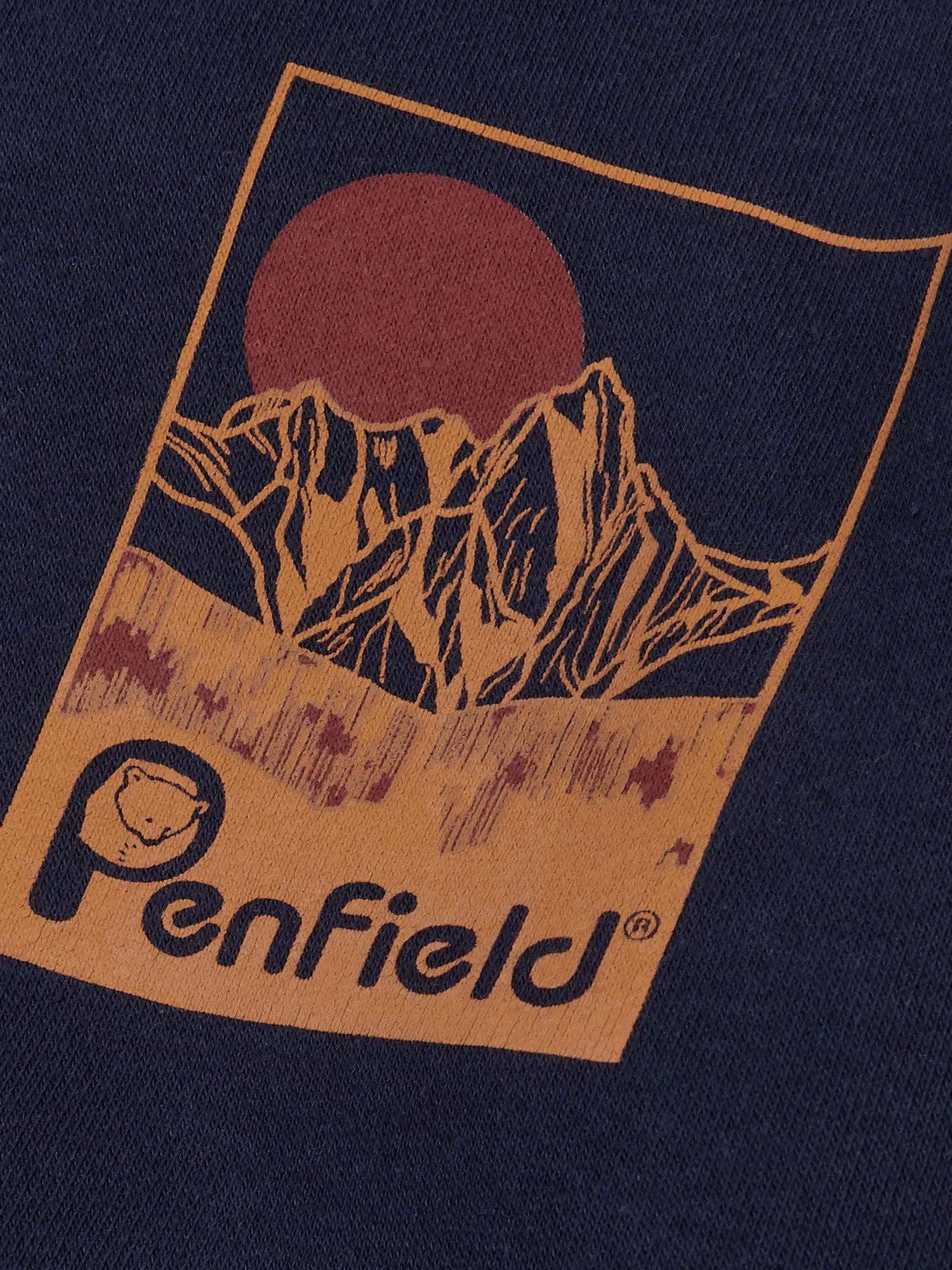 Washed Mountain Graphic Hoodie in Navy Blue